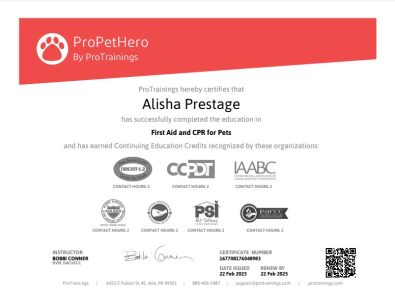AliPetFirstAid
